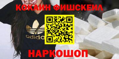 гашик Можга