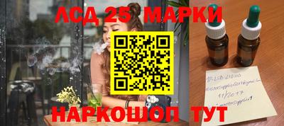гашик Можга