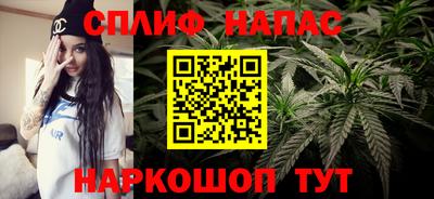 гашик Можга