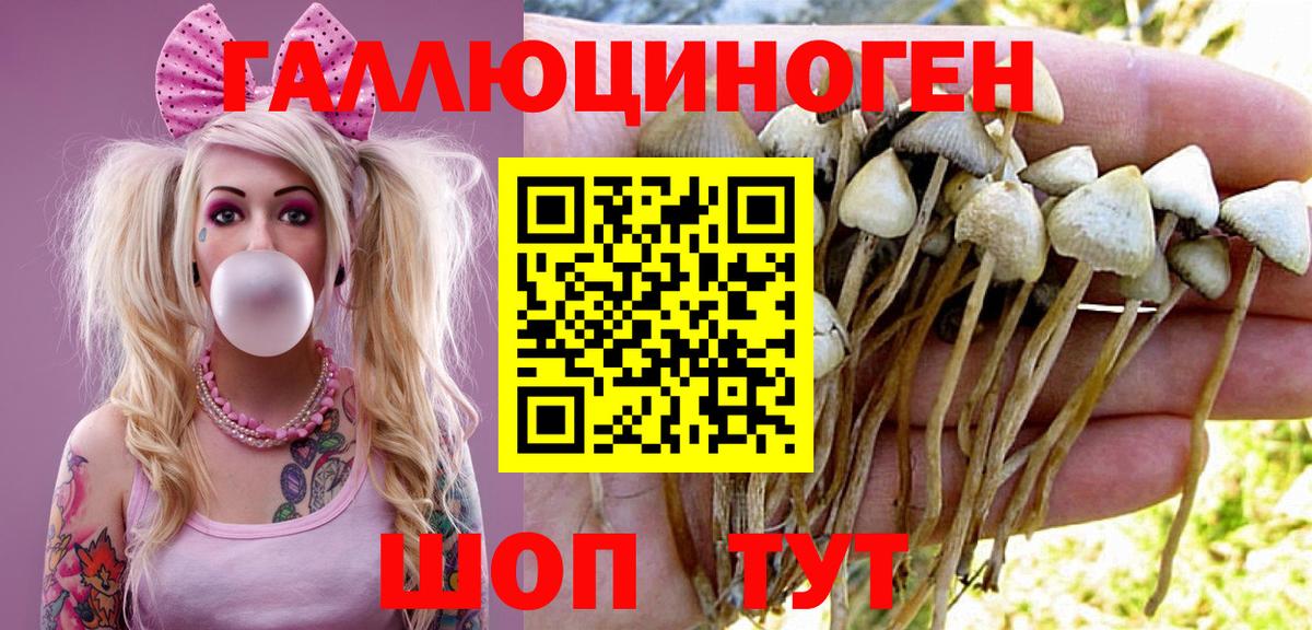 Псилоцибиновые грибы прущие грибы  Вход с VPN  Галлюциногенные грибы Psilocybe  Армавир 